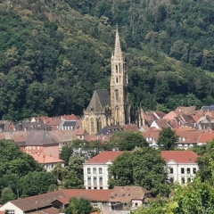 Blick auf Thann