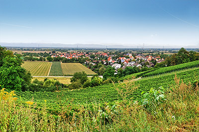 Buggingen-Seefelden